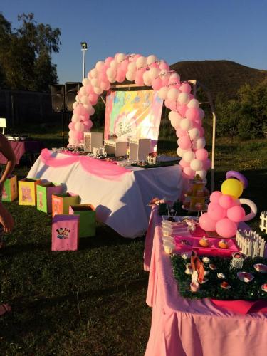 Baby shower en parcela para eventos.